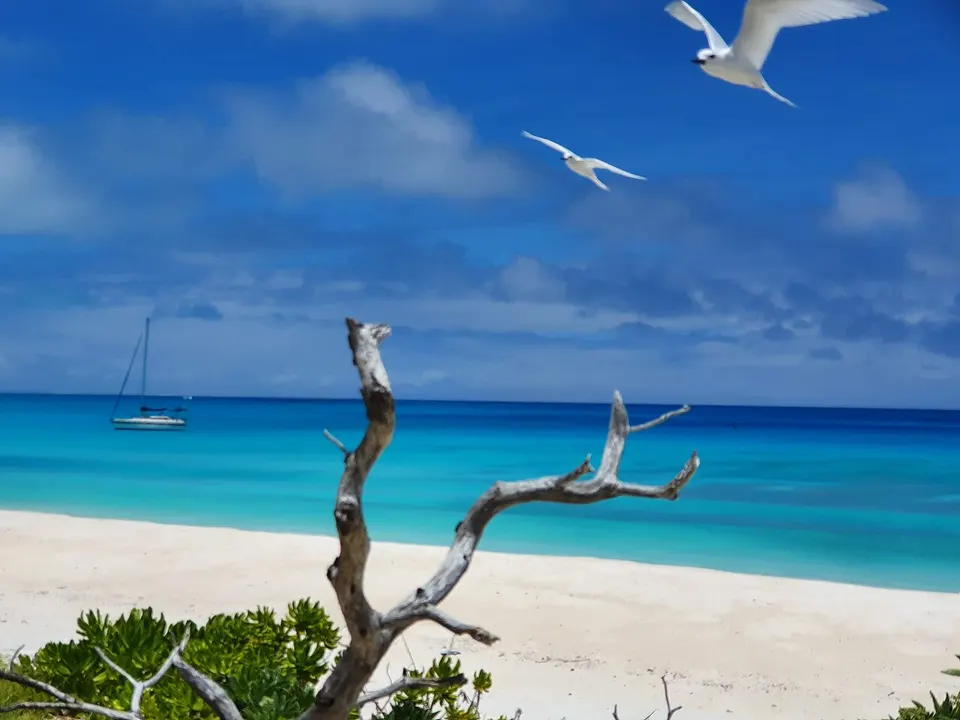 The Thirteen Islands of St Brandon - Images of L'Île Coco, Cargados Carajos in Mauritius 17 — St. Brandon, Mauritius