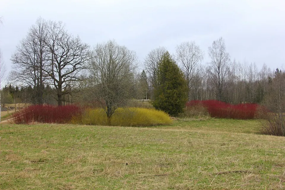 Grimoņi - panoramio — Cēsu novads, Latvia