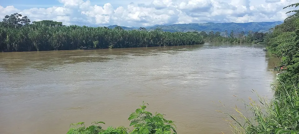 La Virginia Risaralda 6 — Risaralda, Colombia