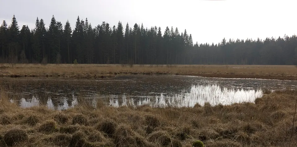 Ven met afvalresten — Drenthe, The Netherlands