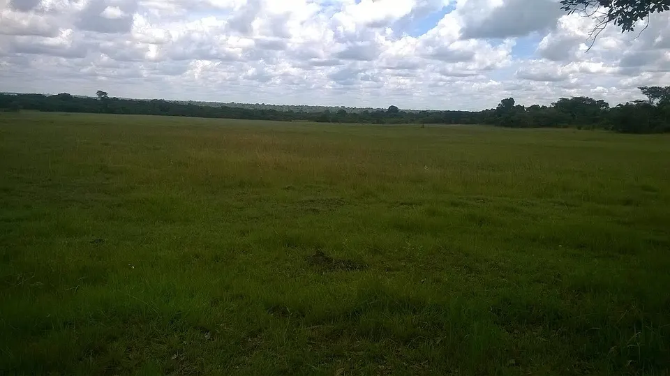 Umulu — Copperbelt, Zambia