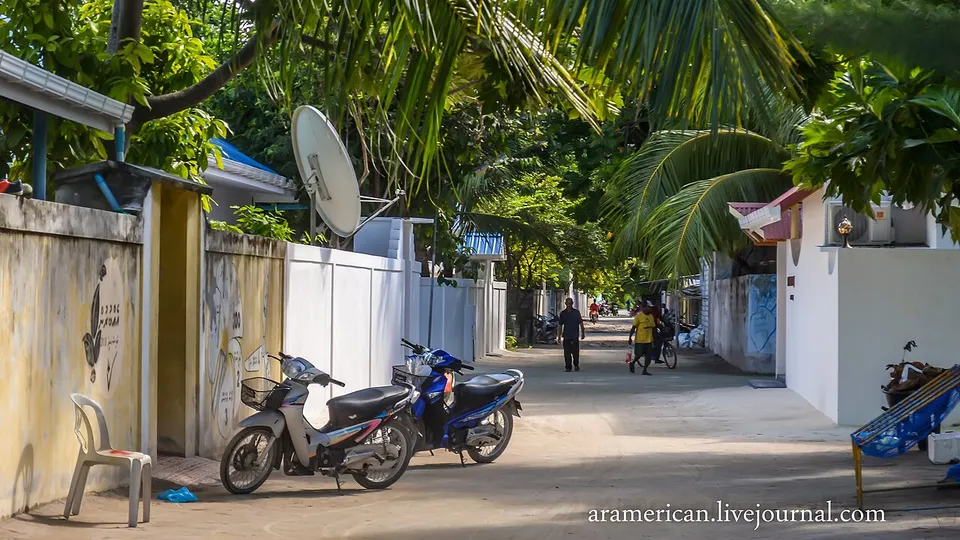 Maldives, Thoddoo - panoramio (46) — Alif Alif, Maldives