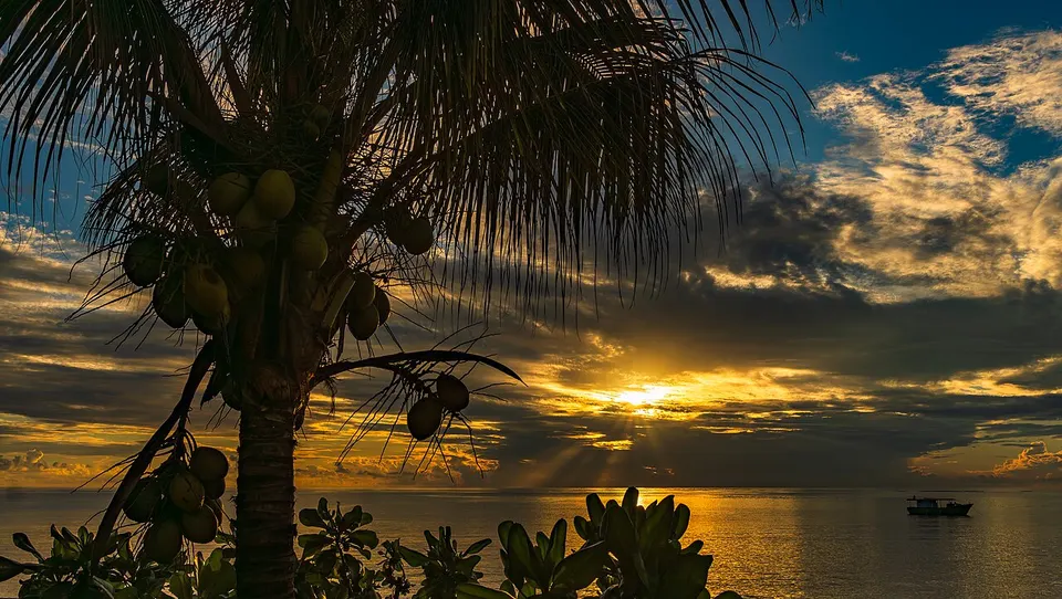 Sunrise on the coast of Anse Royale - Mahe - Seychelles - 2025 - 03 — Anse Royal, Seychelles