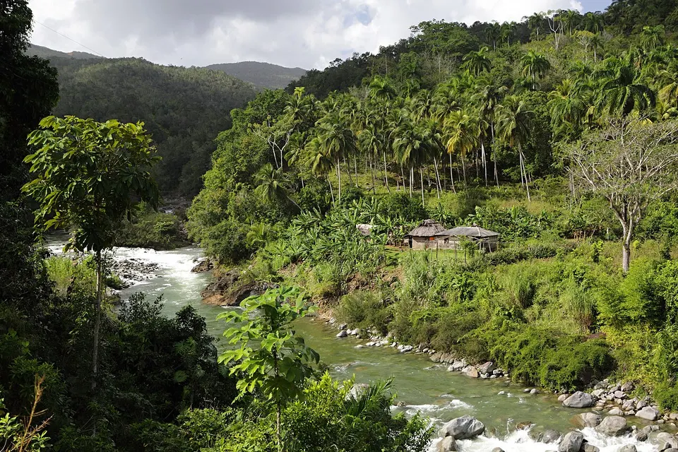 River flowing through a wooded valley — Guantánamo, Cuba