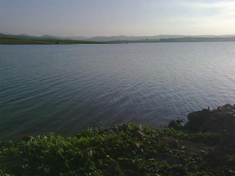 Lake and green shoreline — Aïn Defla, Algeria