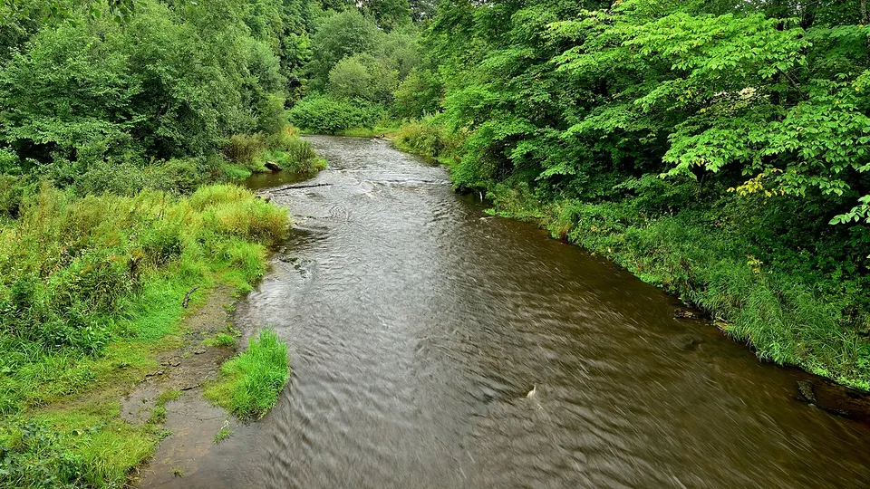 The banks of the Lava River — Leningrad oblast, Russia