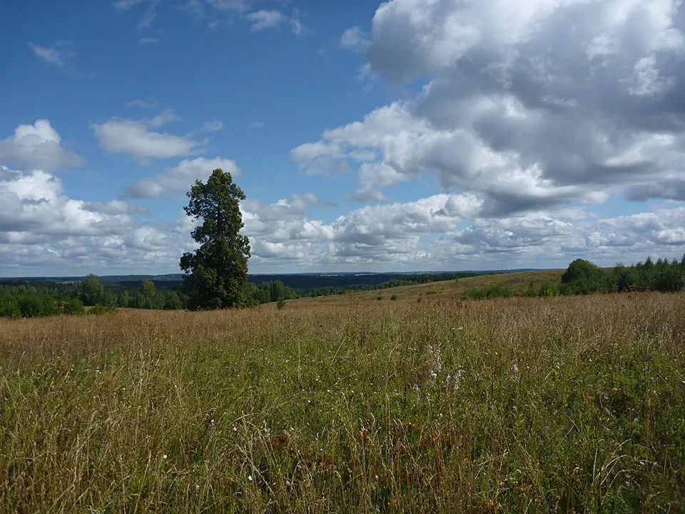 Бывшая деревня Верхний Чур. - panoramio — Udmurtia, Russia