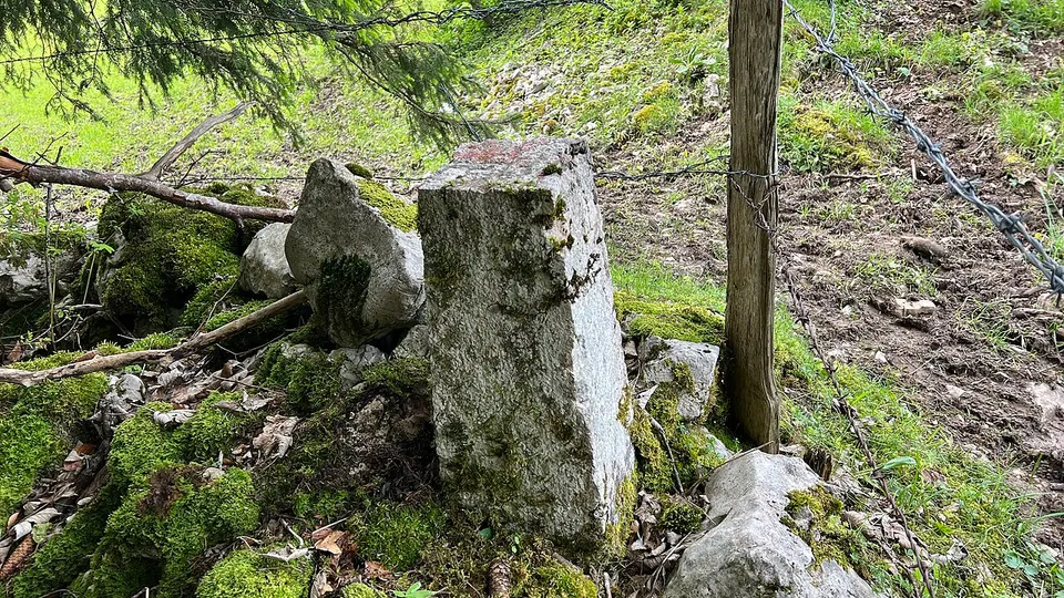 BorNE.LPDM.bz-01 — Neuchâtel, Switzerland