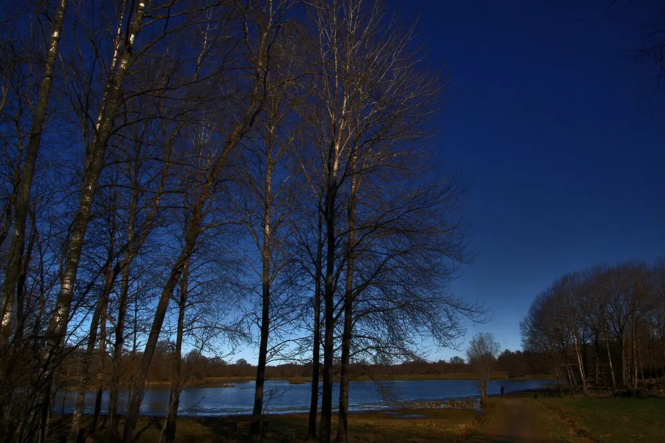 Sweden 2016-04-23 (26617417073) — Östergötlands län, Sweden