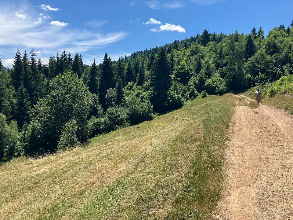 Plav Polja Redžov Do, Vrgonoš National Park,Treskavič 21 12 54 501000 — Plav Municipality, Montenegro