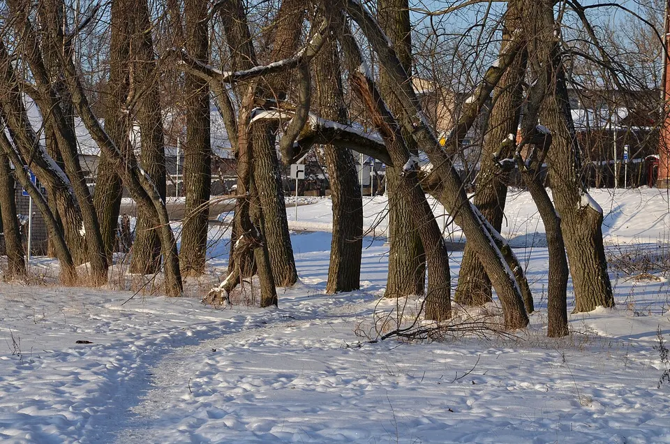 Daugavpils, Latvia - panoramio (122) — Daugavpils, Latvia