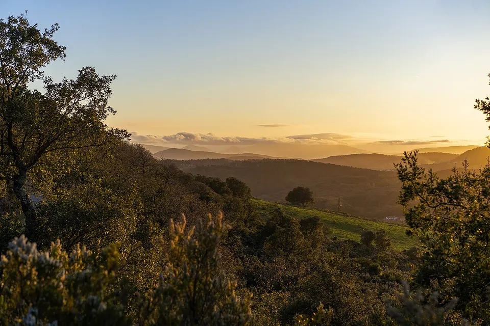 Woodland and mountains at sunset — Jendouba, Tunisia