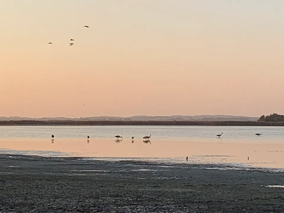 Lac des oiseaux, El Tarf, Algérie — El Tarf, Algeria