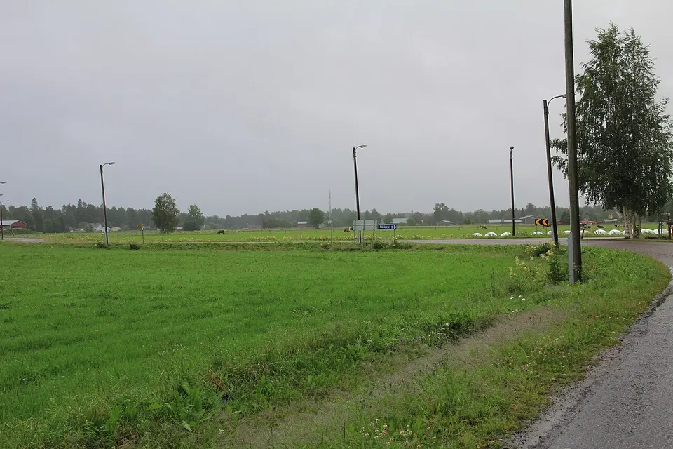 Green fields and country road — Kainuu, Finland