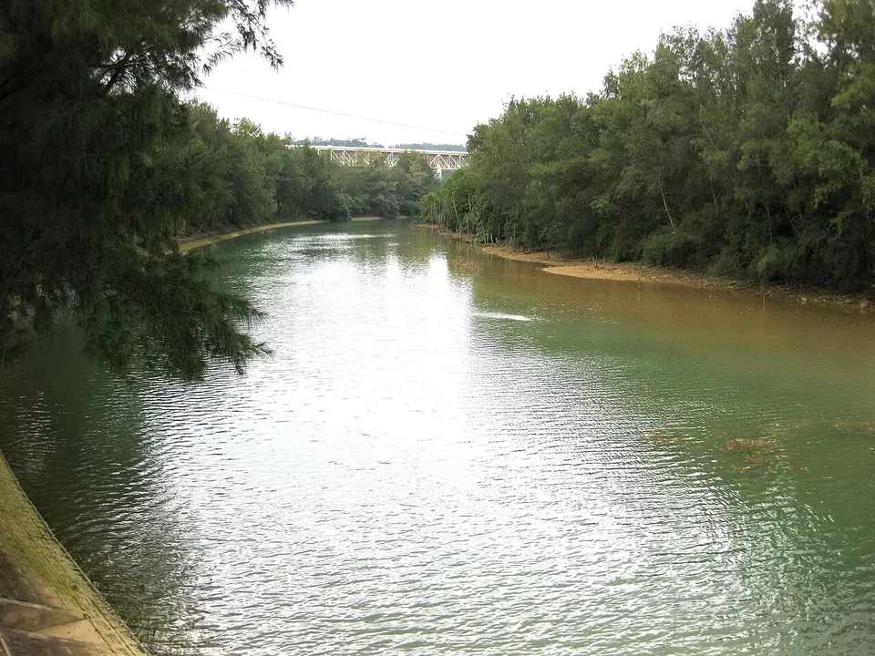 Waterway and wooded banks — Okinawa Prefecture, Japan