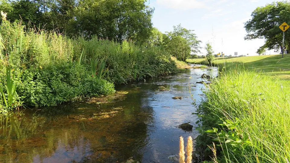 River and lush green banks — Connacht, Ireland