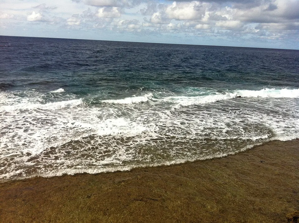 Beech — Yaren, Nauru