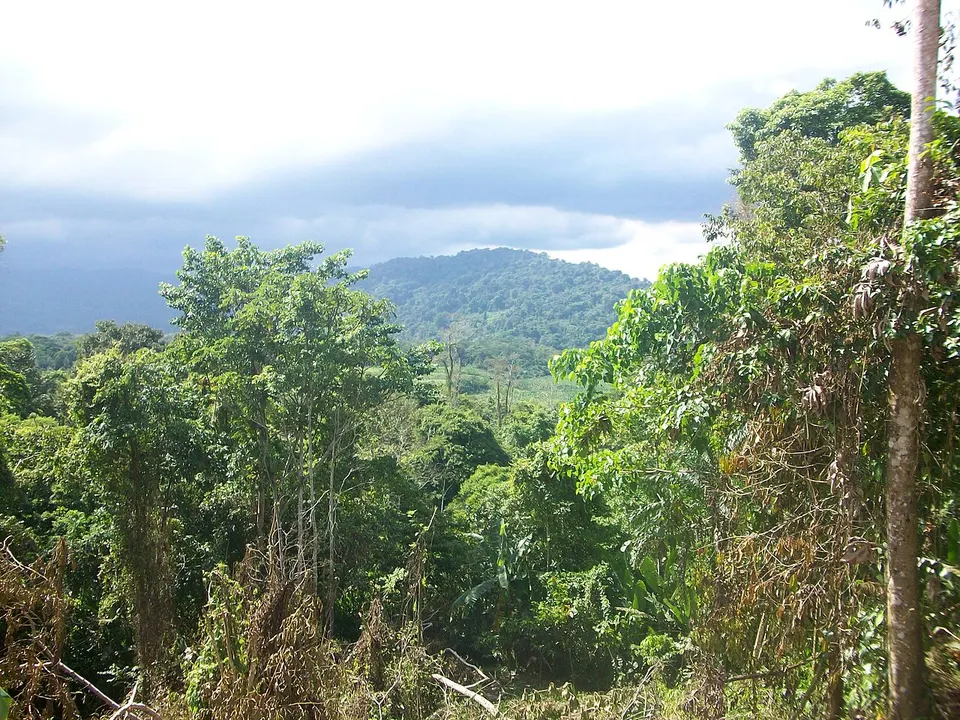 The view from the village of Namardi - panoramio — Provincia Limón, Costa Rica