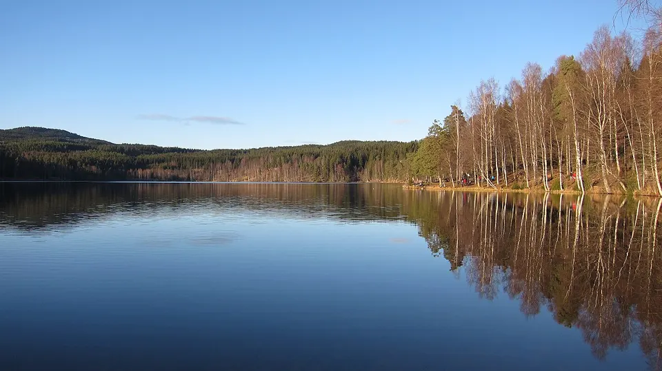 Autumn trees reflected in a lake — Oslo, Norway