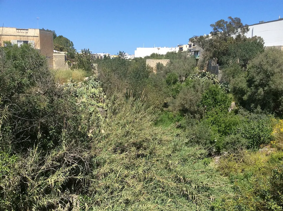 Green countryside and stone walls — Mosta, Malta