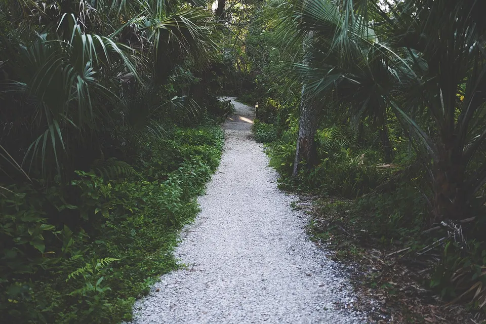 White gravel path in the rainforest (Unsplash) — Florida, United States