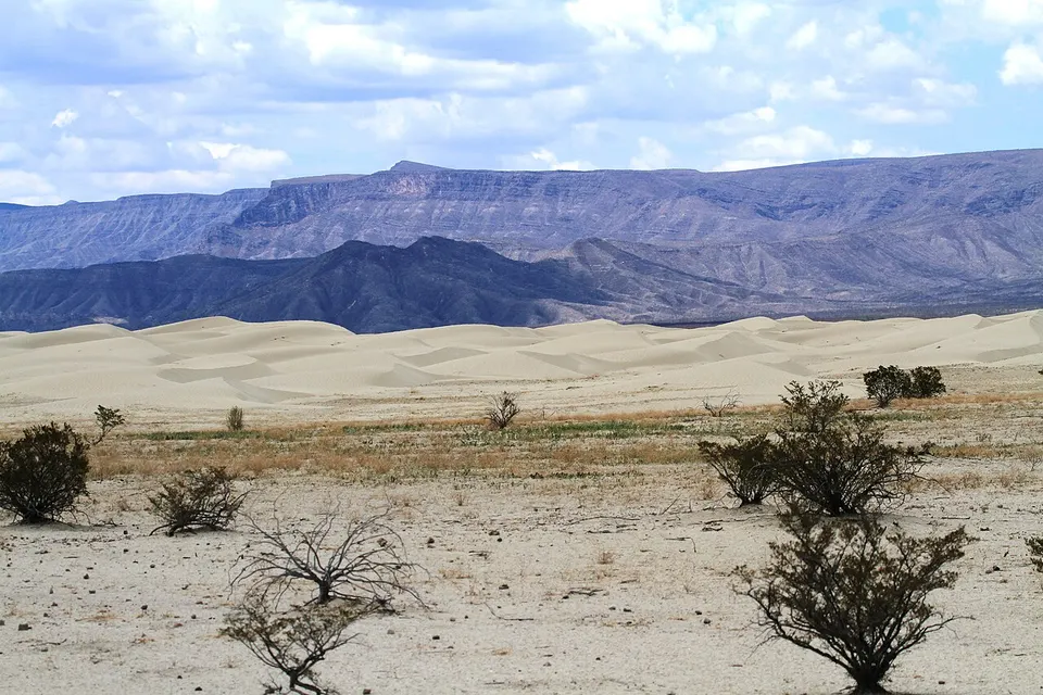 Dunas y sierra - panoramio — Coahuila de Zaragoza, Mexico