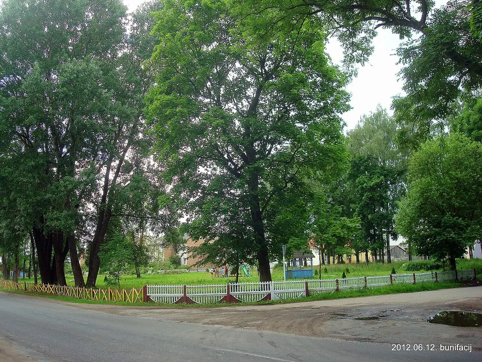 Парк - panoramio (180) — Vitebsk, Belarus