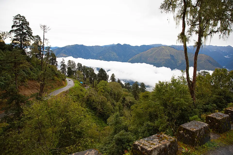 Forested mountains and low clouds — Wangdue Phodrang, Bhutan