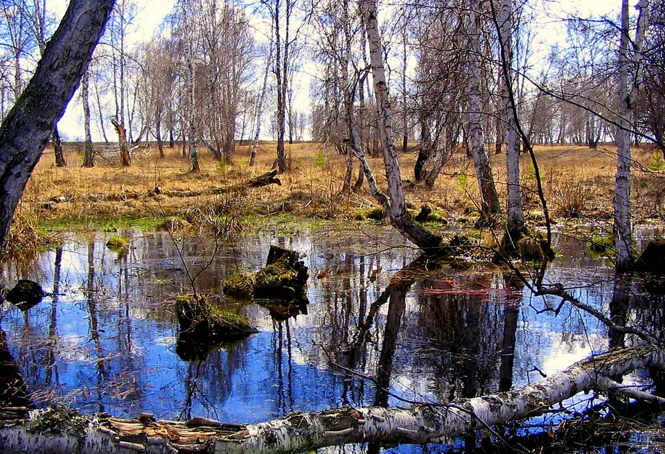 Ранняя весна. - panoramio — Krasnoyarsk Krai, Russia