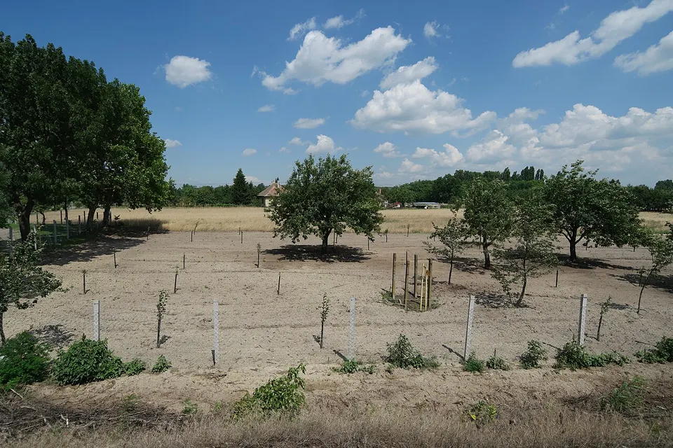 Pirtói Szőlők railway station 2 — Bács-Kiskun, Hungary