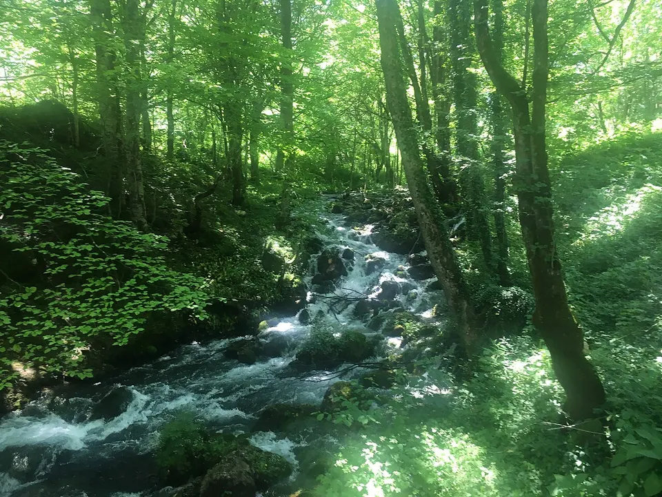 Bistrica (Tara) — Mojkovac Municipality, Montenegro