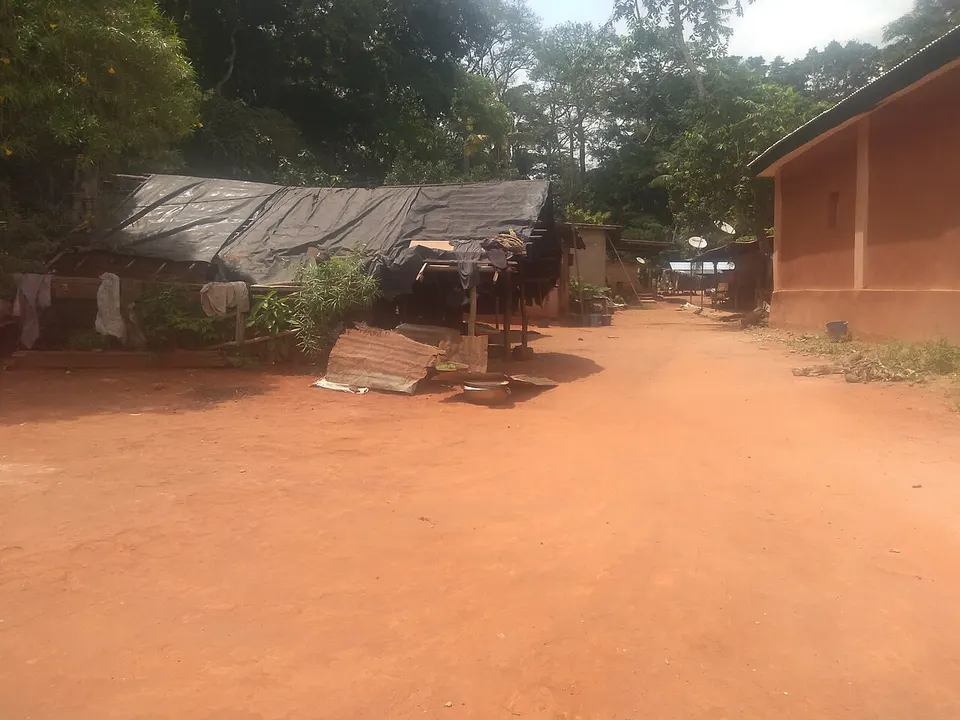 Village des singes — Sassandra-Marahoue, Ivory Coast
