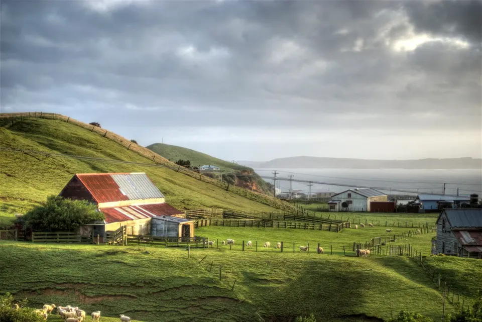View from Chatham Islands — Chatham Islands Territory, New Zealand