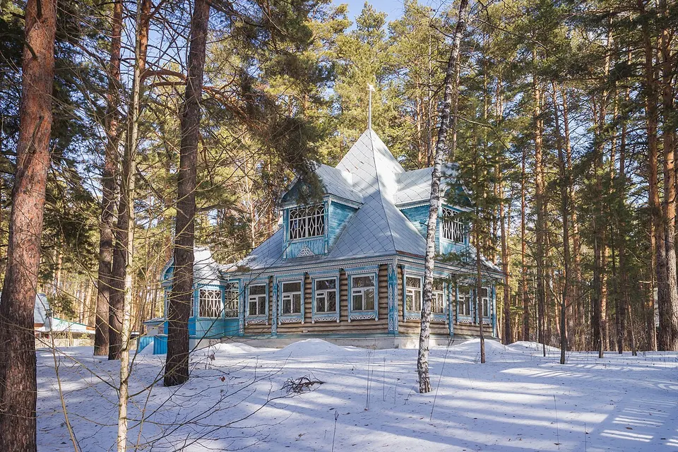 Log house in Prigorodny forest - 01 — Tambov Oblast, Russia