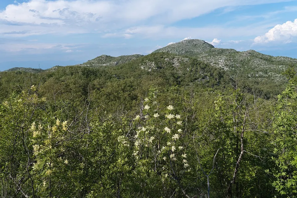 2025-05 10 A view from the hiking trail to Bijela Skala, Bar Municipality 5 — Bar Municipality, Montenegro
