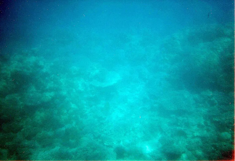 Le Grand Bleu (2889303398) — Anse Etoil, Seychelles