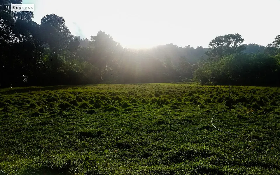 PSX 20190519 172443 — Southern Province, Sri Lanka