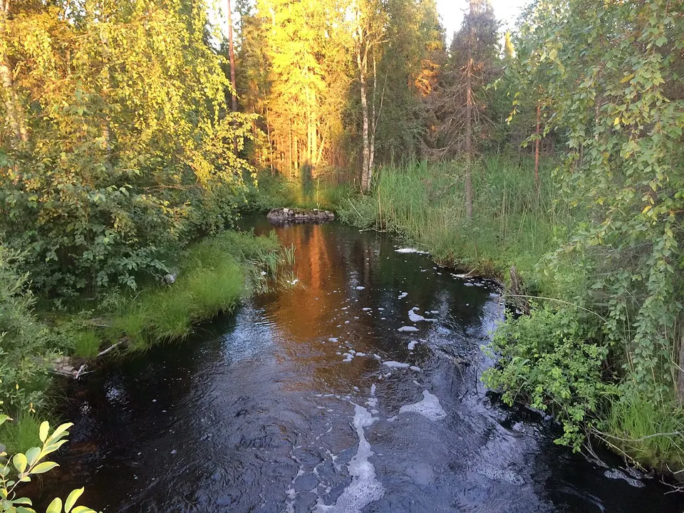 Вайвонец 1 — Republic of Karelia, Russia