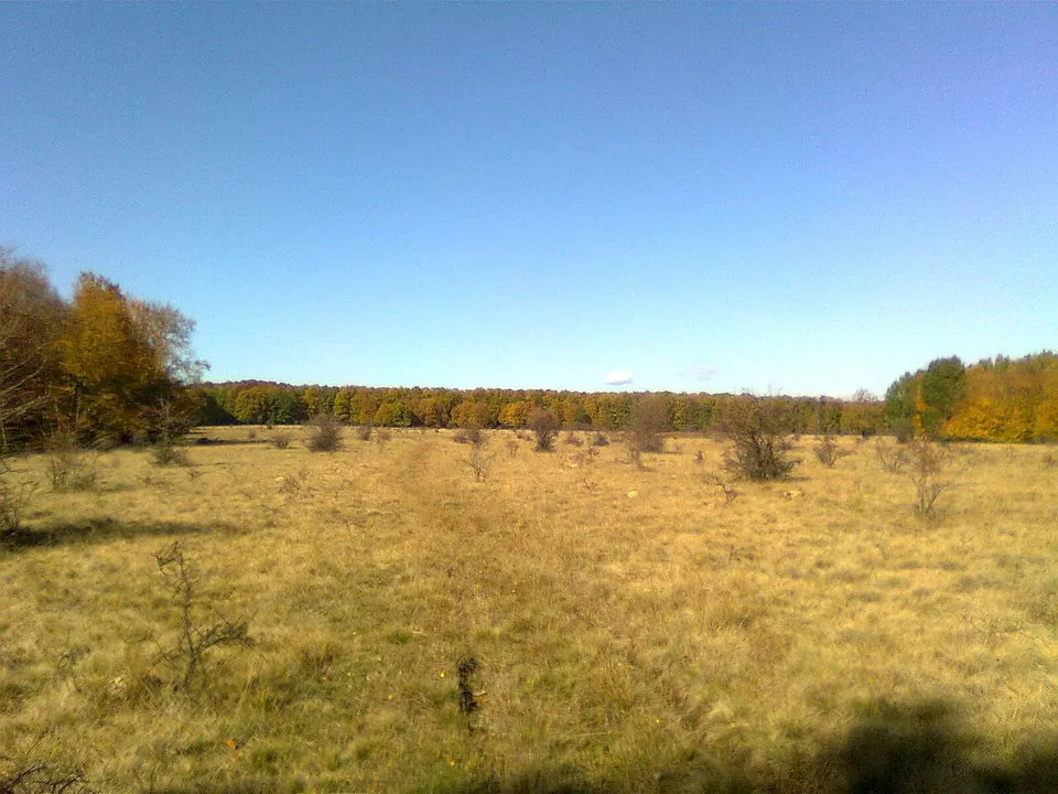 Poiana Pojorata - panoramio — ARGES, Romania