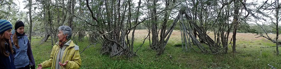 Selk'nam ceremonial hut (8576625655) — Tierra del Fuego, Argentina