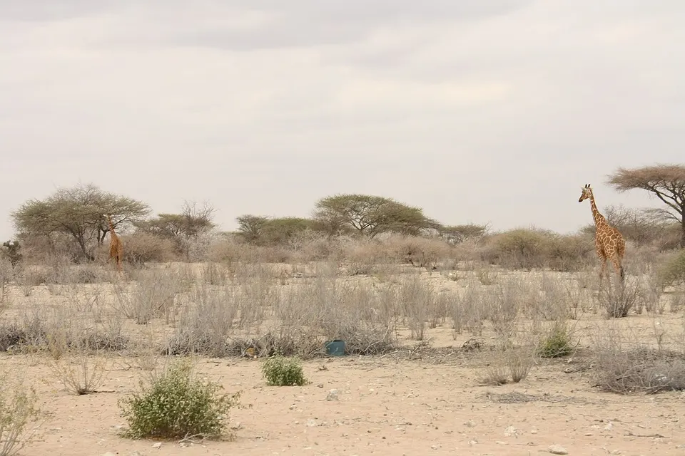 Oxfam East Africa - Kulaley village — Wajir, Kenya