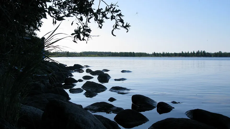 The shore of Candle Lake — Saskatchewan, Canada