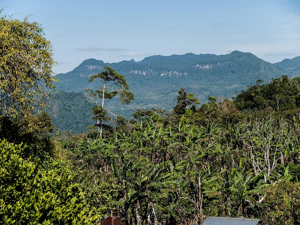 PenasBlancas, part of the Bosawas Reserve, Jinotega Department, Nicaragua — Jinotega (Departamento), Nicaragua