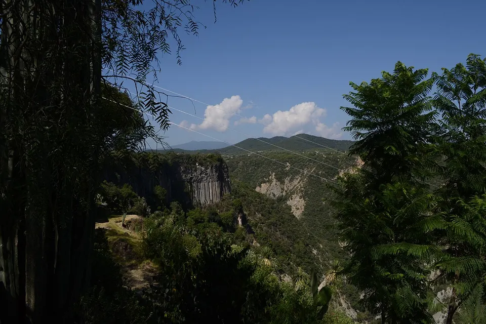Forested canyon — Hidalgo, Mexico