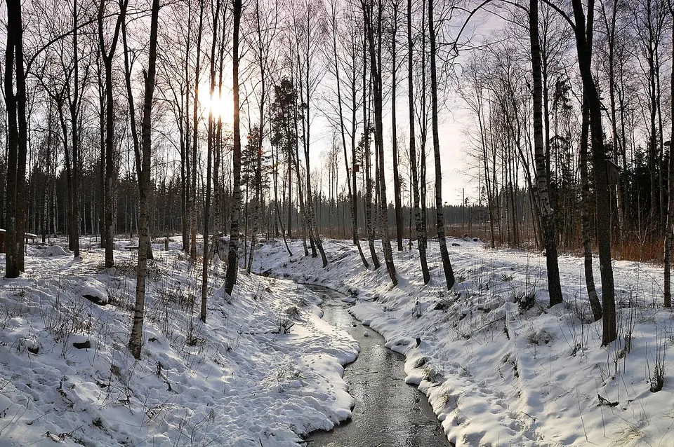 Small river - panoramio — Kronobergs län, Sweden