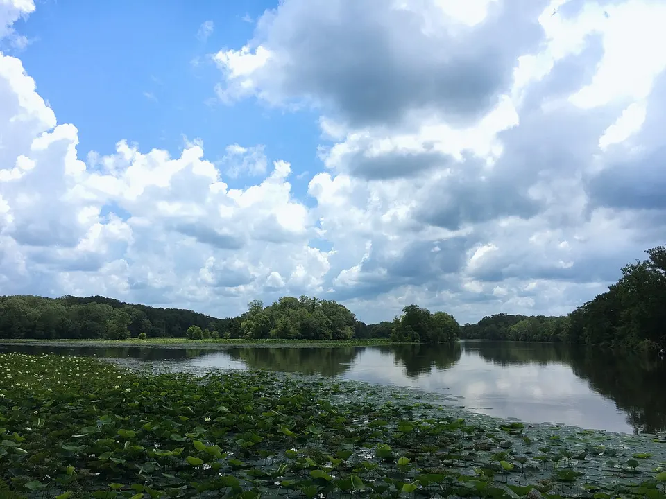 The Pearl River on the Natchez Trace Parkway - Mississippi (53839540319) — Mississippi, United States