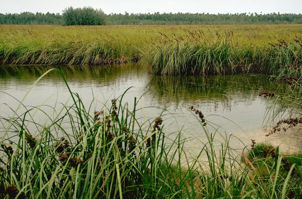 Mitiaro, Cook Islands in 1988 (Lakes) — Mitiaro, Cook Islands