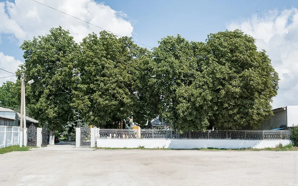 Единцы, церковь Св. Василия Великого Biserica Sf. Vasile cel Mare, din Edinet St Basil's Church in Edinet (41873689850) — Edinet, Moldova