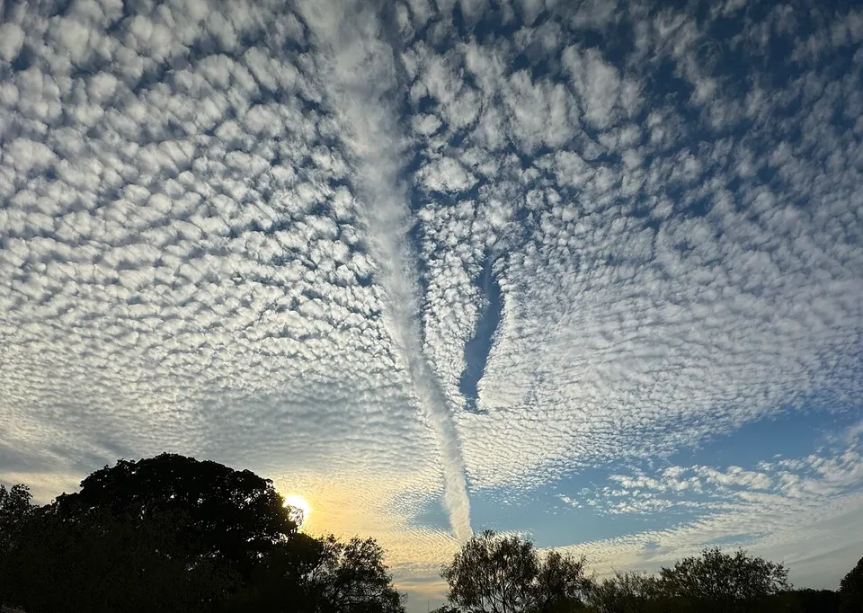 Heaven's Path — Texas, United States