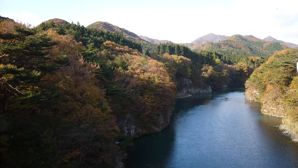 River gorge and autumn woodland — Tochigi, Japan